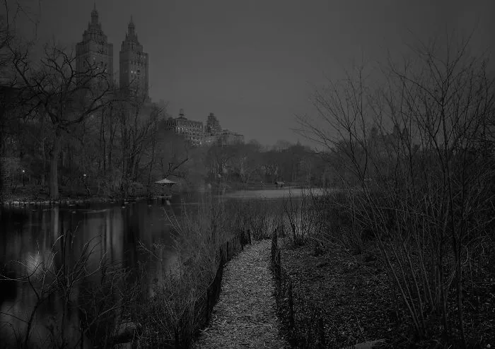January Dawn, 2017