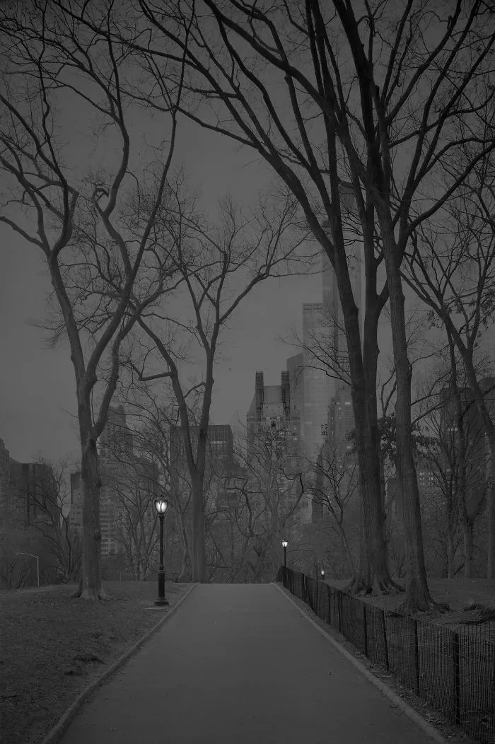 January Dawn, 2017