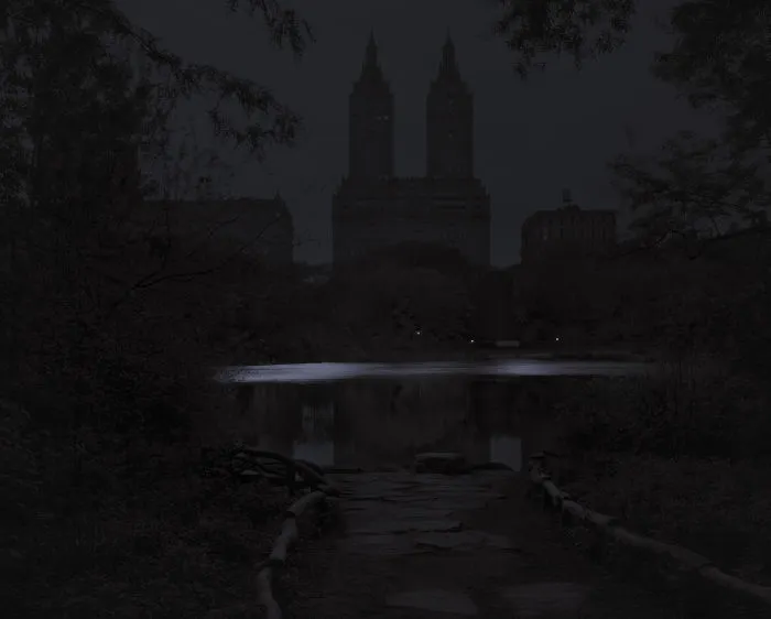 Night Fall, The Ramble, 2017