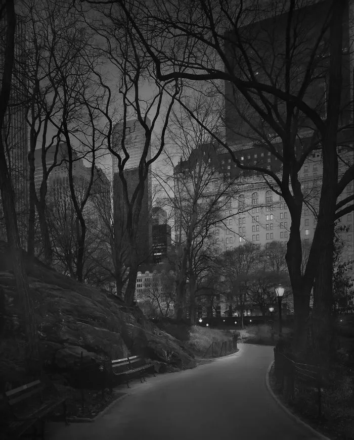 Vistas sur, 2009