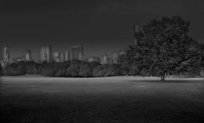 Amanecer en la pradera, 2012