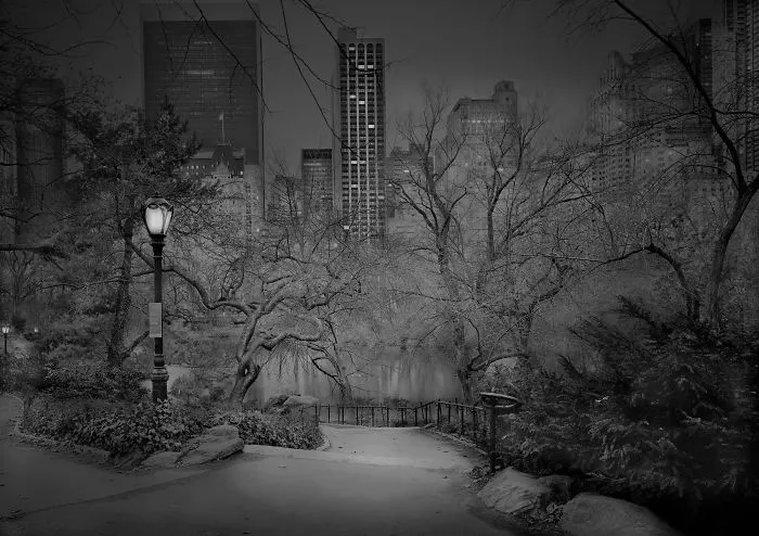 Vistas Sur, 2012