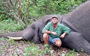 Elephant Just Killed Big Game Hunter During His Hunt In Africa