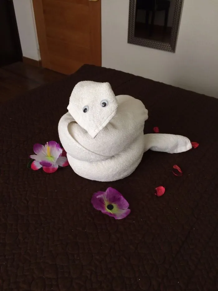 Snake (Day 1)