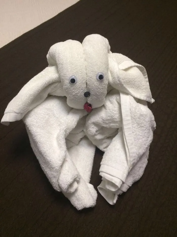 Lamb (Day 2)