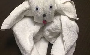 My Dad Went To Chile, And His Hotel Had The Most Awesome Maid