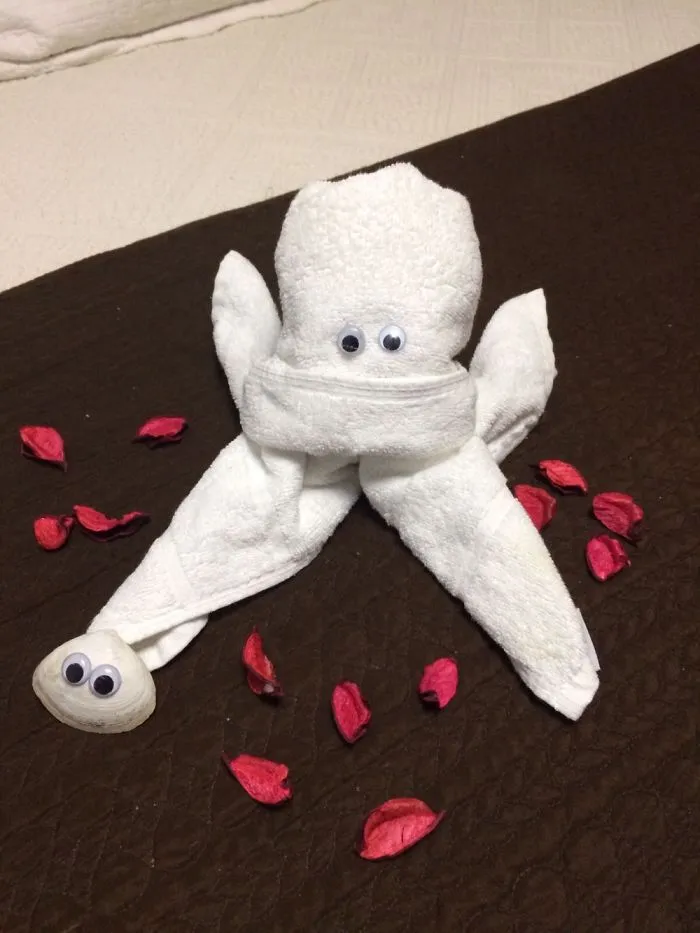 Octopus (Day 4)