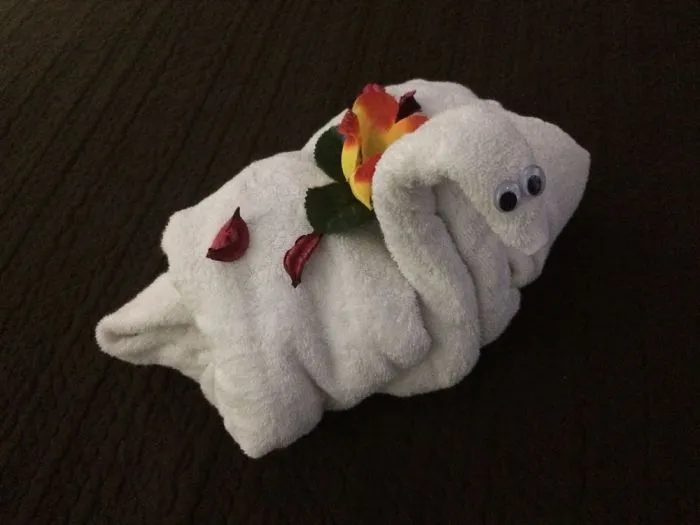 Swan (Day 3)