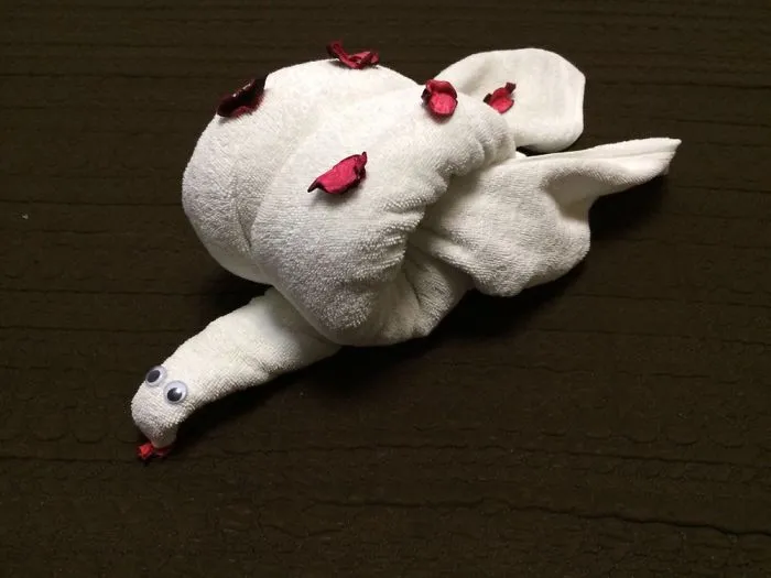Snail (Day 6)