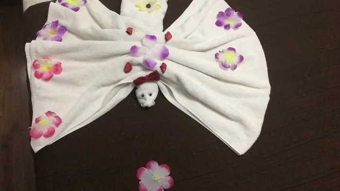 Butterfly (Day 11)