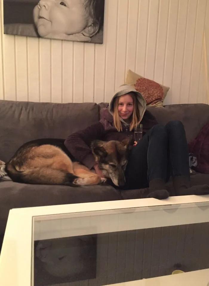 My Mom's Dog Being Scared On New Years (usually Not Allowed On The Sofa) Bless Her...