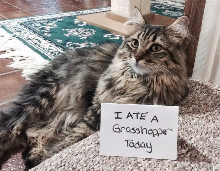 Well... One Of Us Had To.