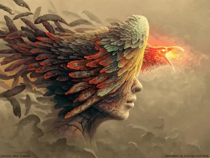 Amazing Animated Gifs