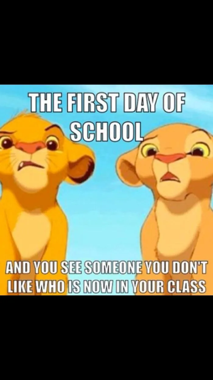 Memes Only People Who Are In School Will Understand