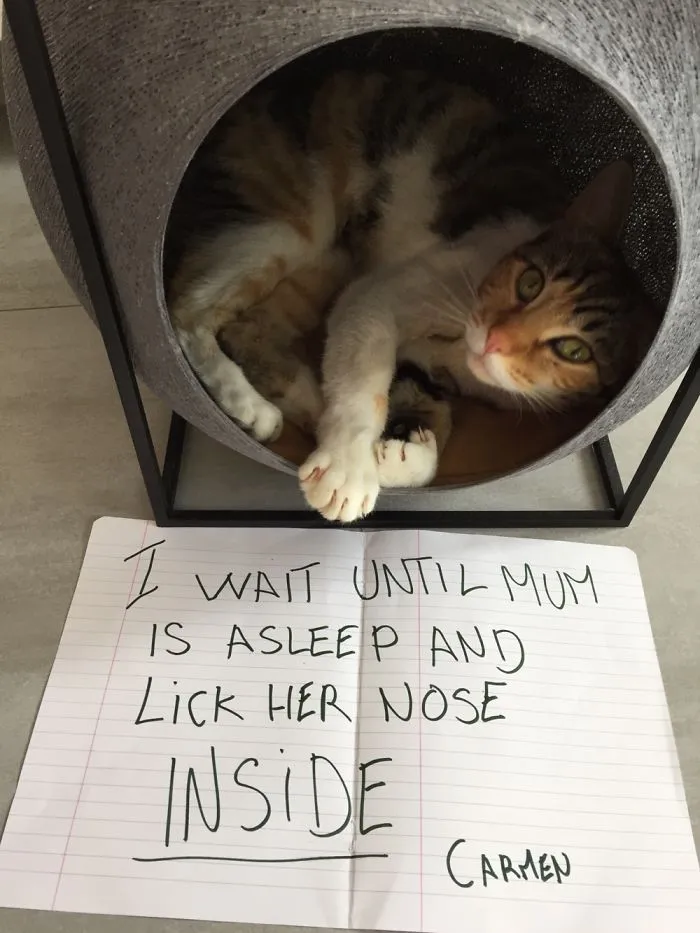 She Does...