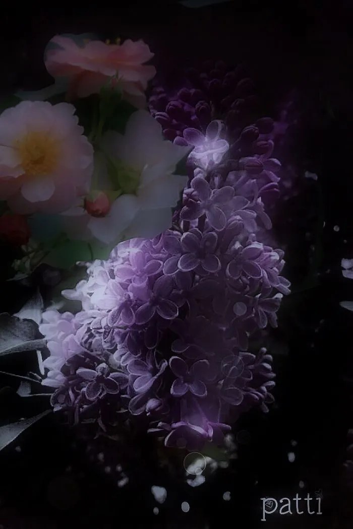 I Love Lilacs