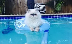 Fun In The Sun