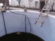 Gatokarma