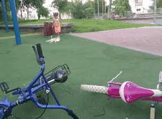 Venganza gatuna