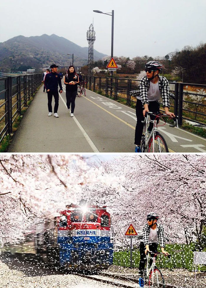 Please Remove The Couple Behind And Make The Sky Clear So The Cherries Could Bloom