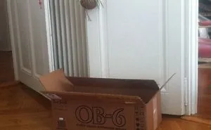 What's In The Box ??