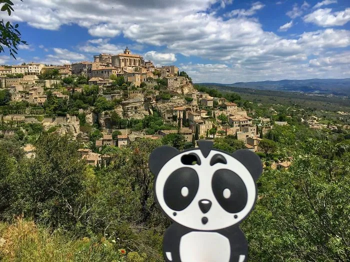 I Bring My Panda Iphone Cover Everywhere I Go On Holiday