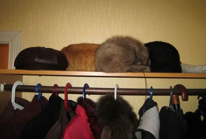 Look Closely