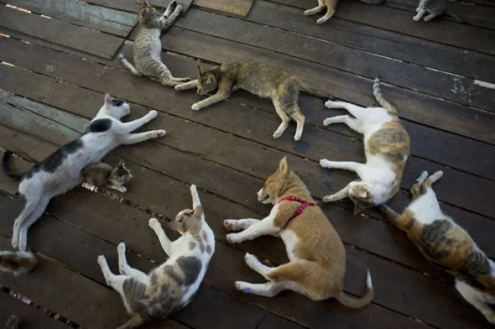 Day 7: They Still Haven't Noticed