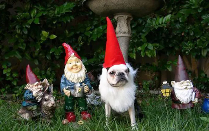 Maybe If I Stand Still No One Will Notice