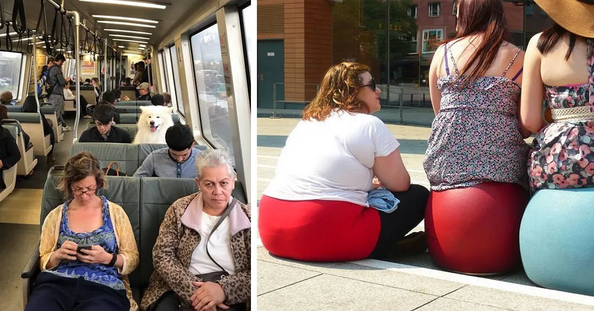 Una de estas cosas no es como las otras (10+ imágenes)