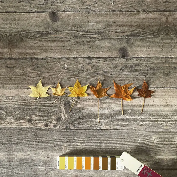 Italian Graphic Designer Finds Pantone Colors In Natural Landscapes And Cities
