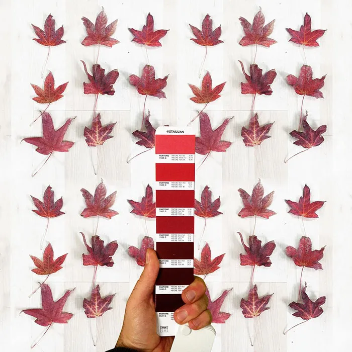 Italian Graphic Designer Finds Pantone Colors In Natural Landscapes And Cities