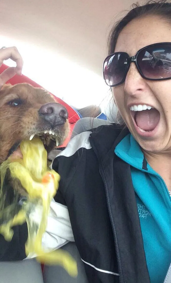 My Dog Threw Up While I Was Taking A Selfie