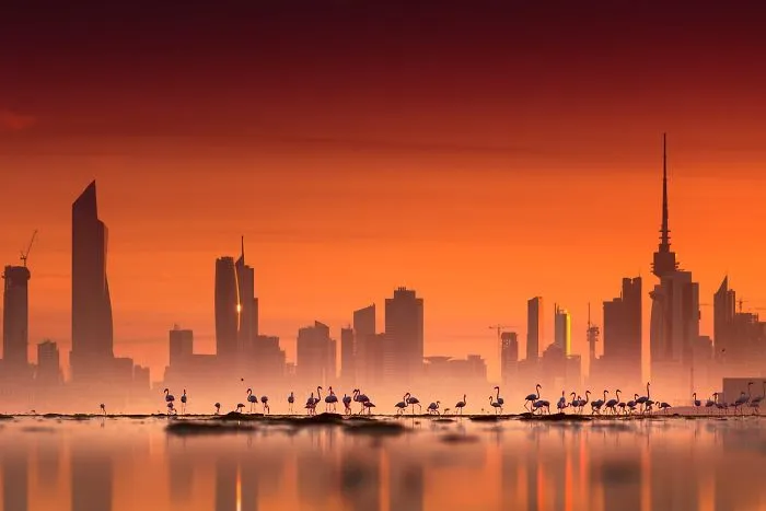 84 Gorgeous Flamingo Pics To Celebrate Pink Flamingo Day
