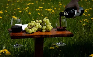 I Made An Oaken Picnic Table With Wine Holders