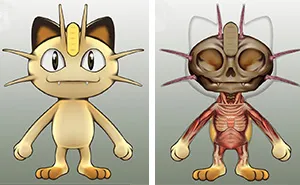 I Make Pokémon Anatomy Gifs To Help Kids Interested In Biology