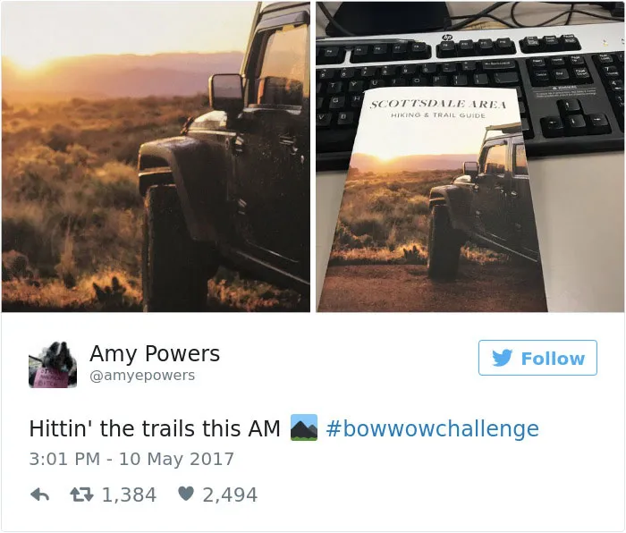 Famous Rapper Gets Caught Lying About Flying On Private Jet, And The Internet's Reaction Is Hilarious