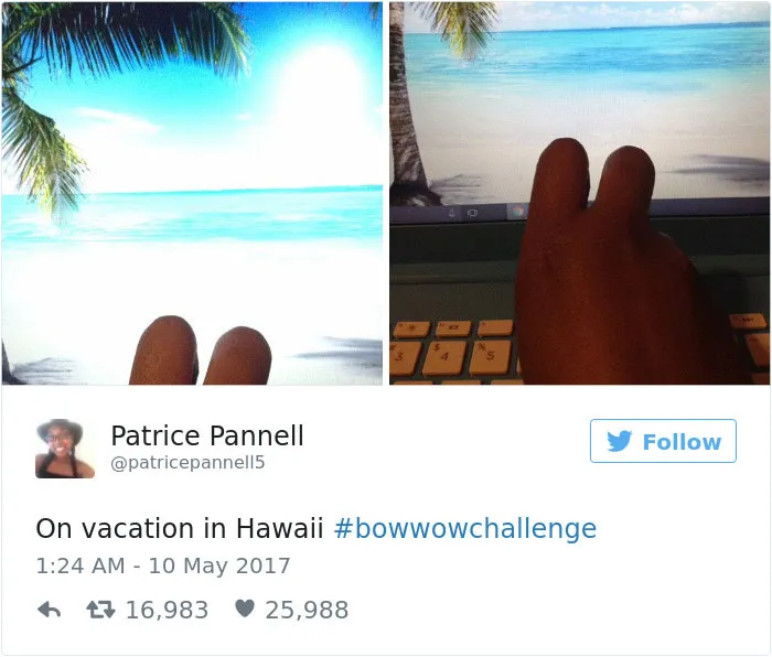 Famous Rapper Gets Caught Lying About Flying On Private Jet, And The Internet's Reaction Is Hilarious