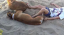 Dog's Revenge