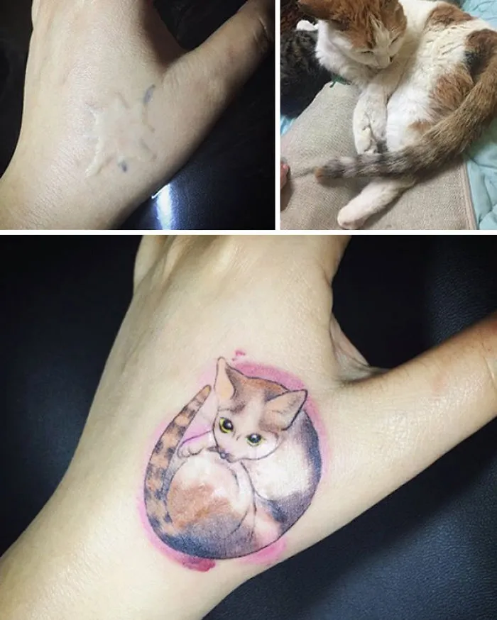 Cat tattoo art covering a hand scar, inspired by a real cat, showcasing amazing tattoos transforming scars.