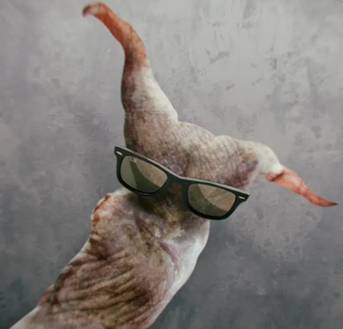 Growing Up In Hollywood: My Adventures With Baby Attacus, My "Weird" Friend On Instagram