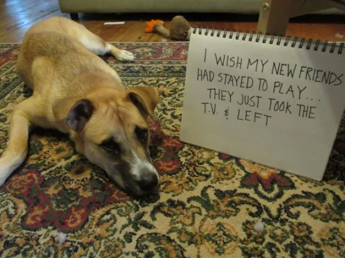 Intruder Alert!