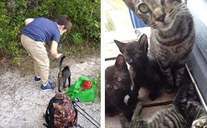 Father And Son Showed Some Love To A Stray Cat, Next Day She Came Back With A Surprise