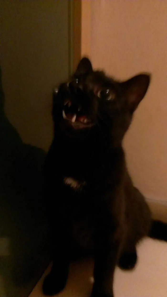 Goblin