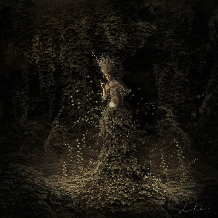 Night Forest