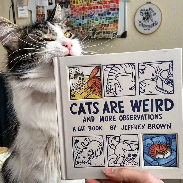Yes They Are Weird