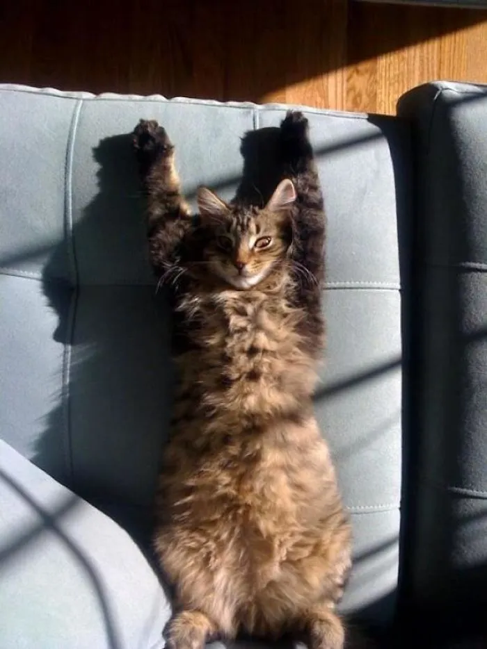Once I Obtain The Sun's Power, I Will Rule The World And The Entire Human Race