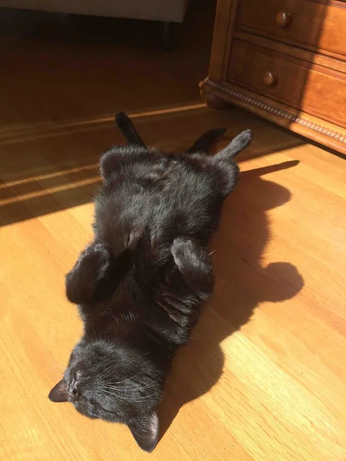Getting Some Sun