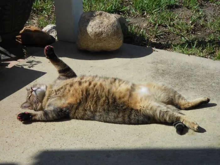 All Hail The Mighty, Warm Sun