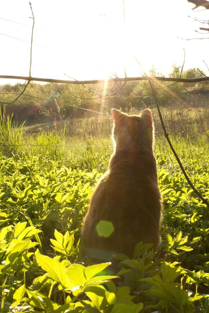 Enjoying The Sun With My Best Friend